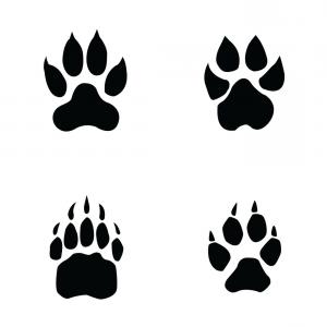 300x300 Paw Print Icon Footprint Animal Cat Dog Bear Vector Illustration