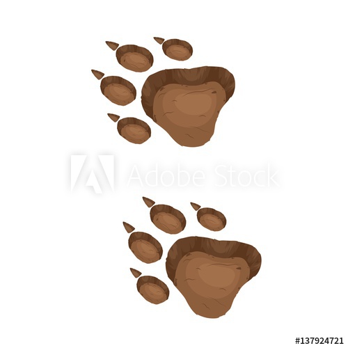 500x500 Paw Prints Logo Vector Illustration Isolated Vector