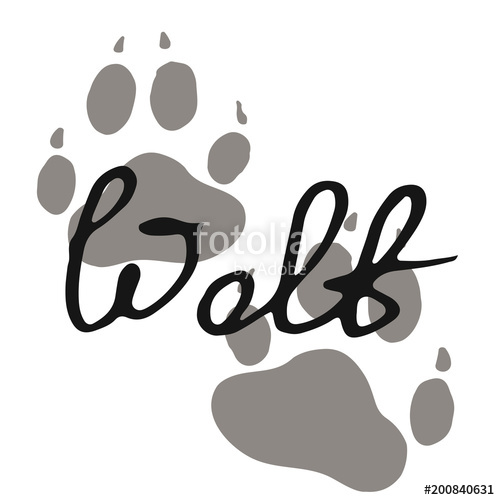 500x500 The Paw Print Of A Wolf Grey Trail Of A Wild Beast Lettering