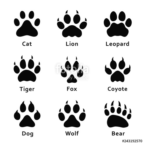 Wolf Paw Print Vector at Vectorified.com | Collection of Wolf Paw Print