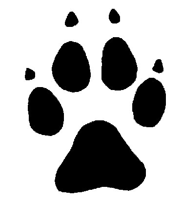 373x417 Wolf Paw Print Vector