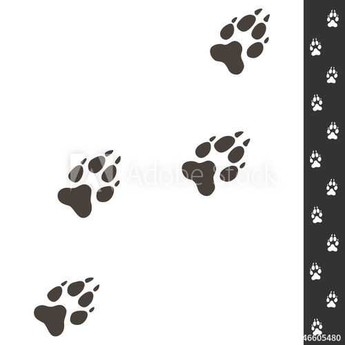 500x500 Wolf Footprints Vector Illustration Isolated On White Wildlife