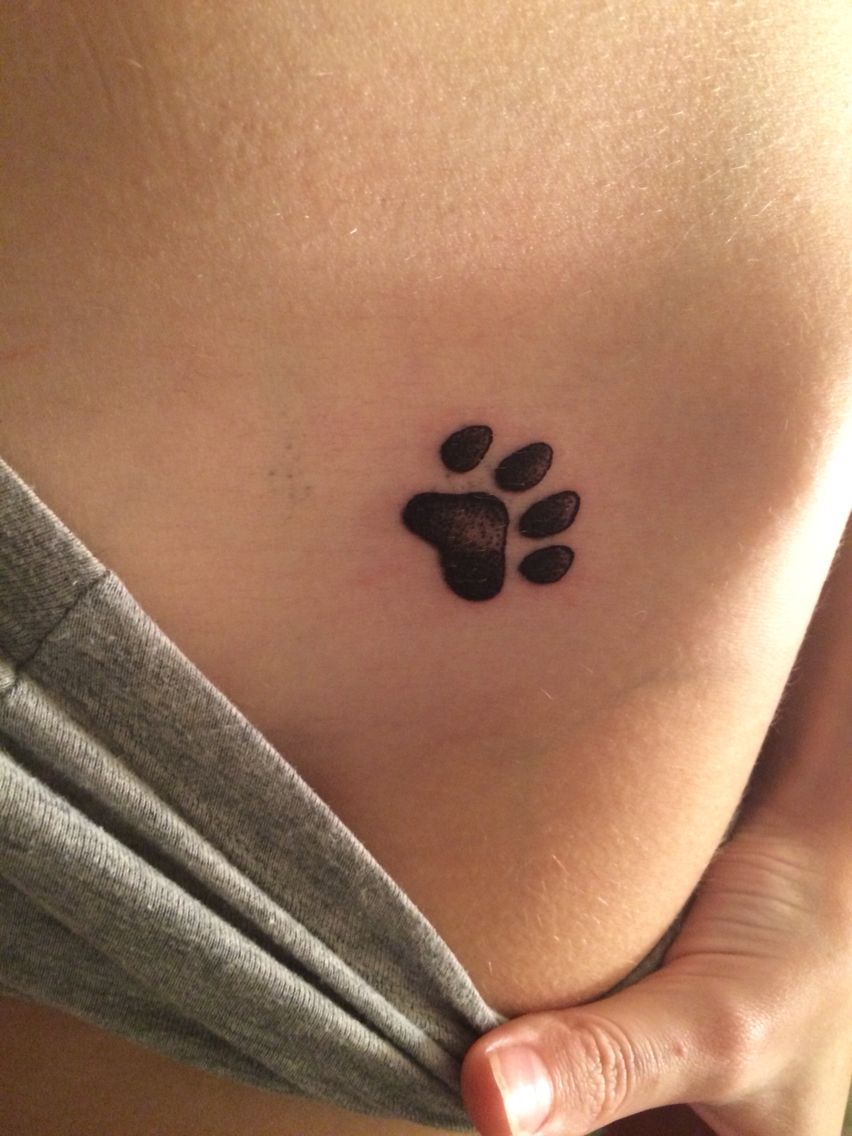 852x1136 Creative Tattoos Paw Print Tattoo Ideas Freshly Done On Left Hip