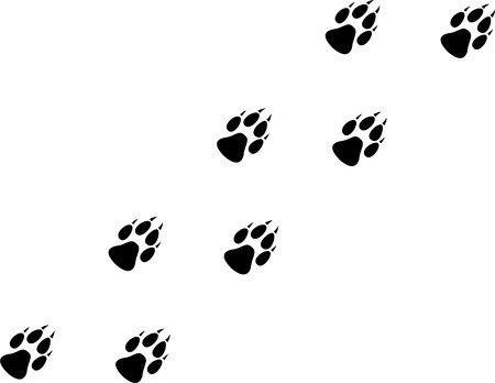 A Wolf Paw Trail Illustration Royalty Free Vector Graphics 450x348 A Wolf Paw Trail Illustration Royalty Free Vector Graphics