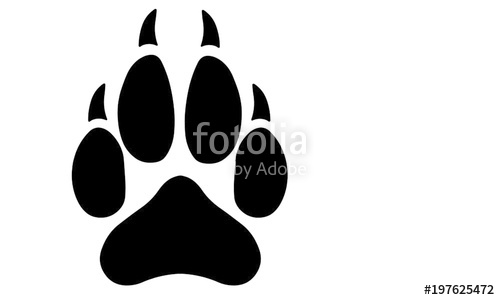 Wolf Paw Stock Image And Royalty Free Vector On Fotolia 500x300 Wolf Paw Stock Image And Royalty Free Vector On Fotolia