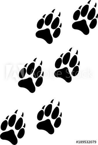 Wolf Paw Track 339x500 Wolf Paw Track