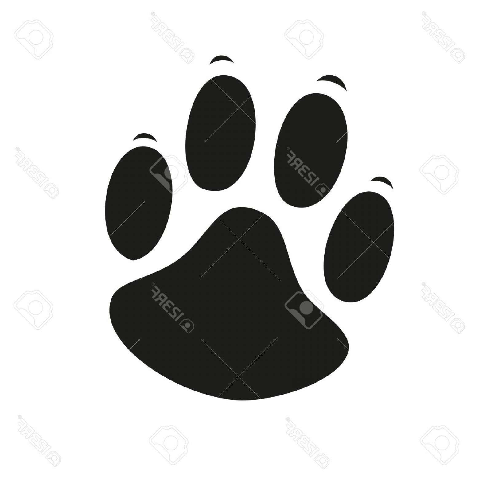 Bear Footprint Vector Soidergi 1560x1560 Bear Footprint Vector Soidergi