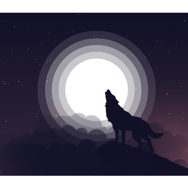Wolf Silhouette, Wolf, Howling, Clipart Png And Vector 640x640 Wolf Silhouette, Wolf, Howling, Clipart Png And Vector