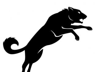 Wolf Silhouette Vector Free Vectors Ui Download 310x233 Wolf Silhouette Vector Free Vectors Ui Download