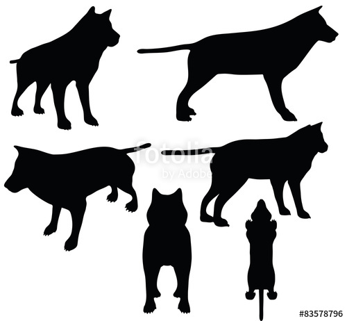 Animal Wolf Silhouette Stock Image And Royalty Free Vector 500x462 Animal Wolf Silhouette Stock Image And Royalty Free Vector