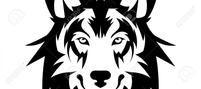 Pretty Wolf Tattoo Vector In Design Tattoo Design 660x293 Pretty Wolf Tattoo Vector In Design Tattoo Design