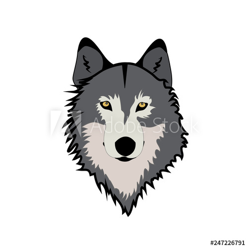 500x500 Muzzle Wolf Vector Illustration