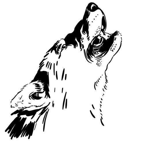 Howling Wolf Vector 490x490 Howling Wolf Vector