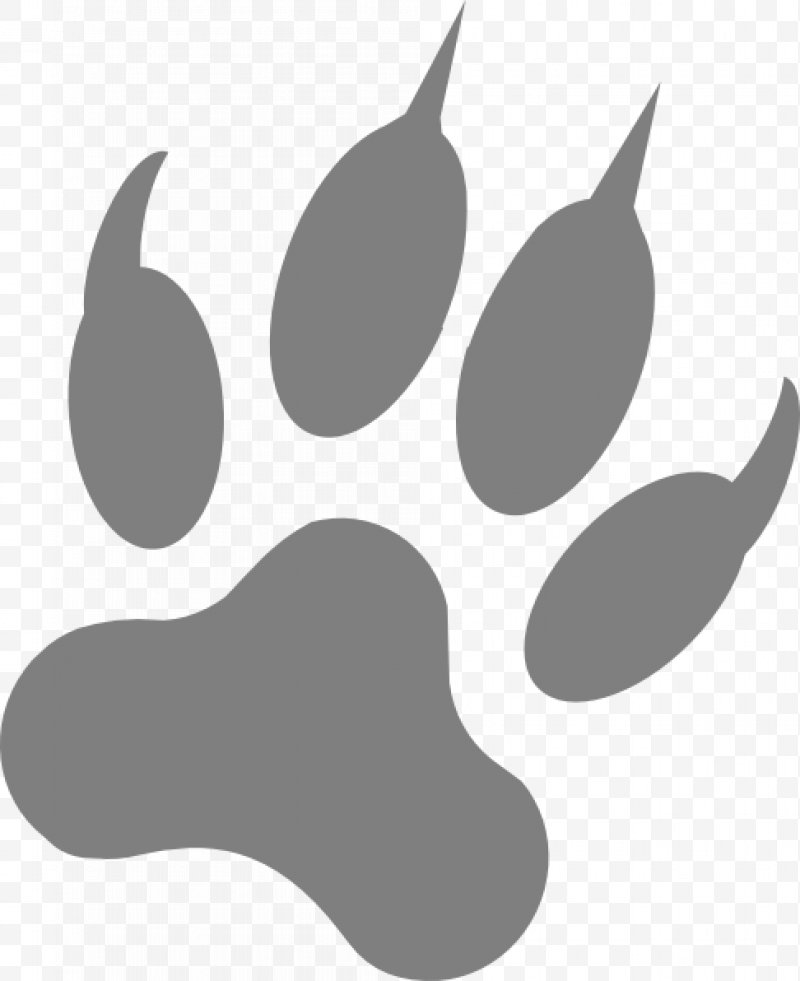 Dog Paw Footprint Claw Clip Art, Png, Dog, Animal Track 800x981 Dog Paw Footprint Claw Clip Art, Png, Dog, Animal Track
