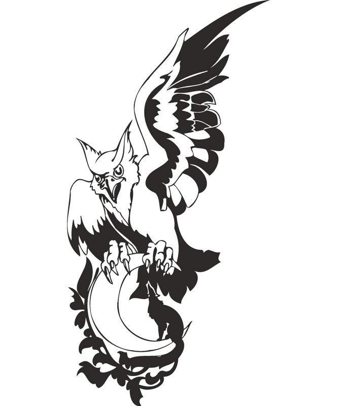 Eagle Wolf Moon Vector Free Vector Cdr Free Download Vector 664x800 Eagle Wolf Moon Vector Free Vector Cdr Free Download Vector