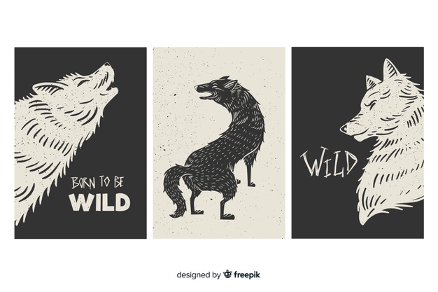 Wolf Vectors, Photos And Free Download 626x417 Wolf Vectors, Photos And Free Download