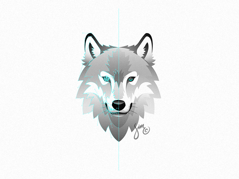 800x600 Wolf Vector