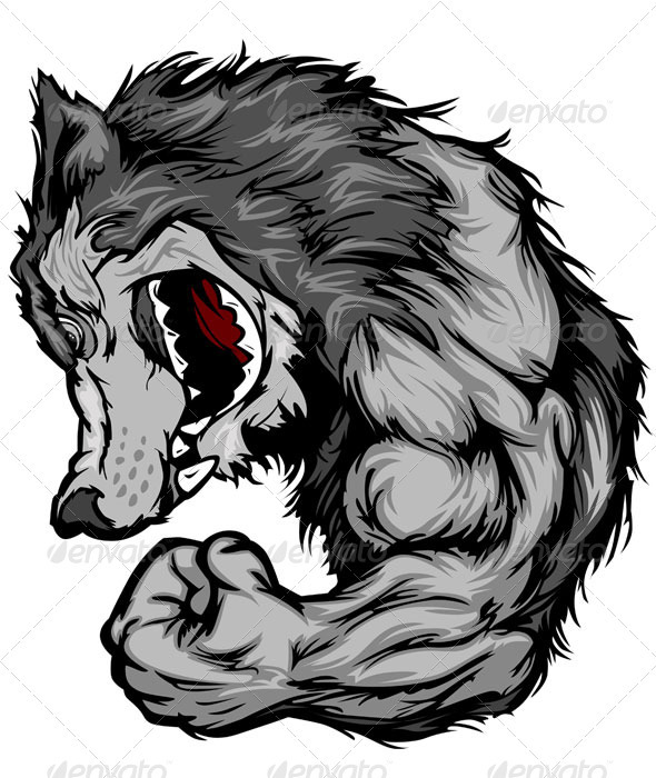 590x700 Wolf Vector Graphics, Designs Templates From Graphicriver