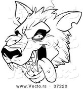 164x175 Royalty Free Wolfman Stock Vector Designs