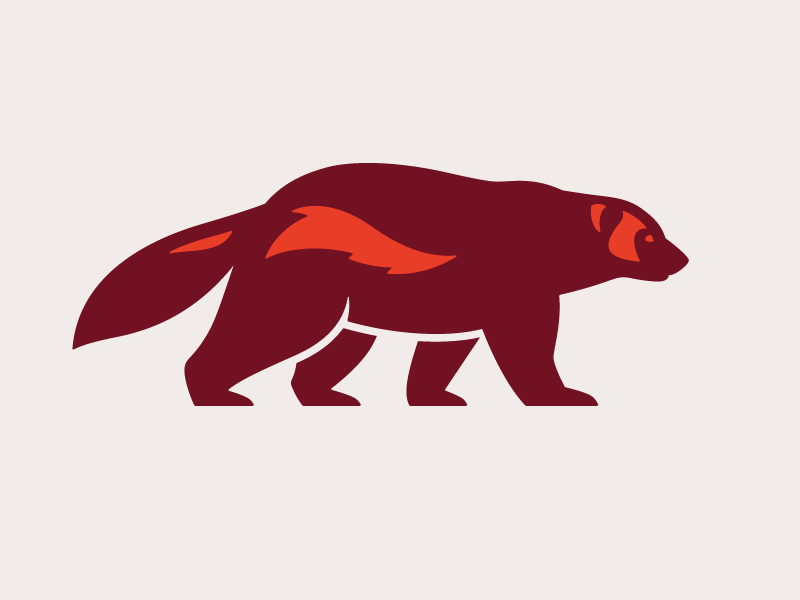 Wolverine Illustration 800x600 Wolverine Illustration