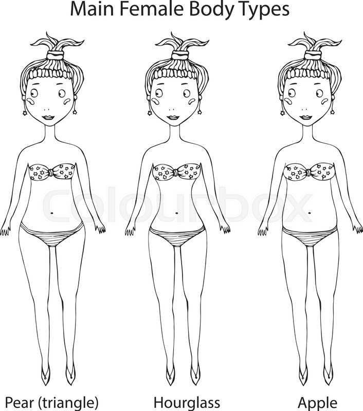 Main Female Body Shape Types Stock Vector Colourbox 706x800 Main Female Body Shape Types Stock Vector Colourbox