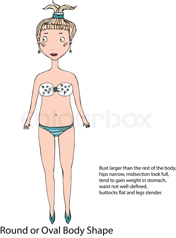 Oval Or Round Body Shape Women Body Stock Vector Colourbox 593x800 Oval Or Round Body Shape Women Body Stock Vector Colourbox