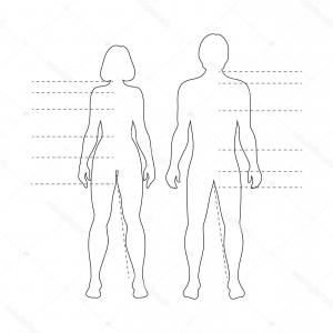 Picture Of Human Body Front And Back Printable Outline Of The Body 300x300 Picture Of Human Body Front And Back Printable Outline Of The Body