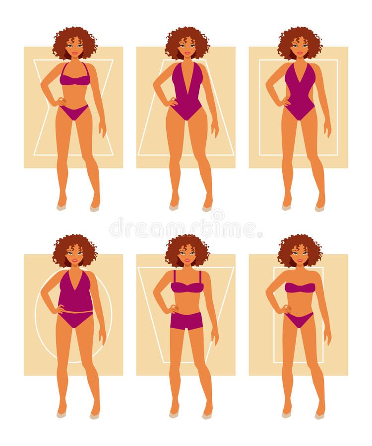 Download Types Of Female Figures Stock Vector Illustration 750x900 Download Types Of Female Figures Stock Vector Illustration
