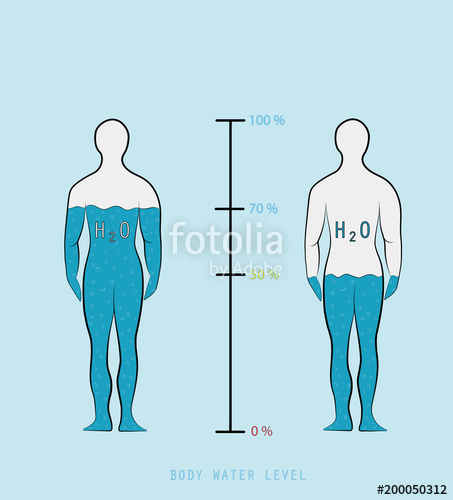 Woman Silhouette Infographic Showing Water Percentage Level 453x500 Woman Silhouette Infographic Showing Water Percentage Level