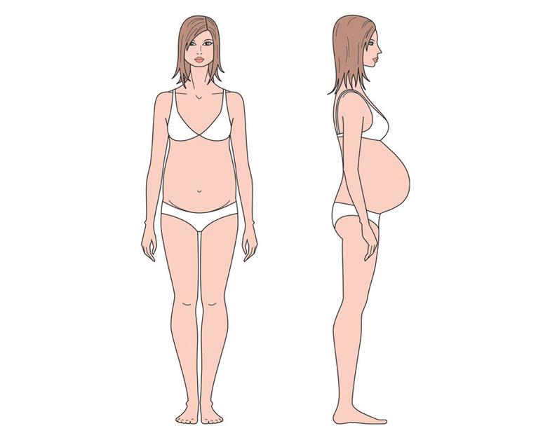 794x618 Female Pregnant Figure Vector Sketchfashion Croquiswoman Etsy