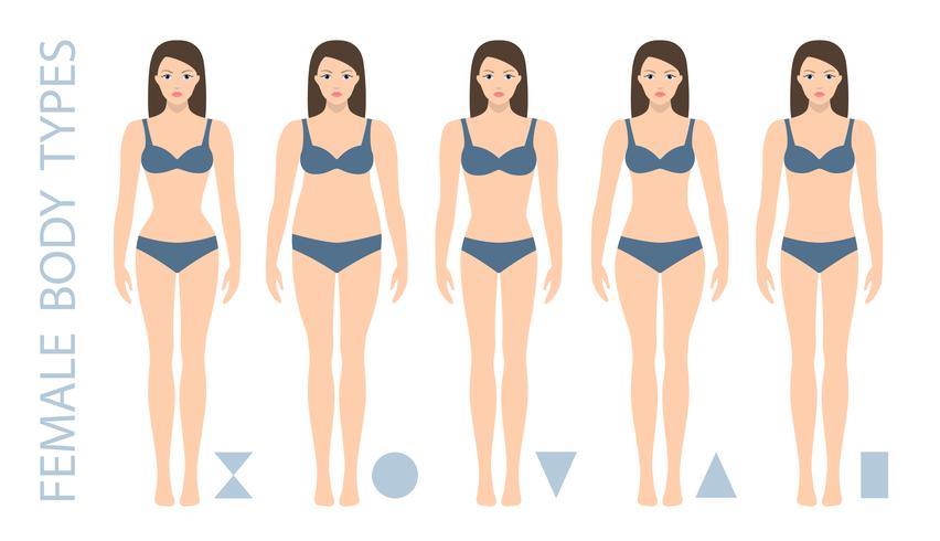 852x490 Set Of Female Body Shape Types