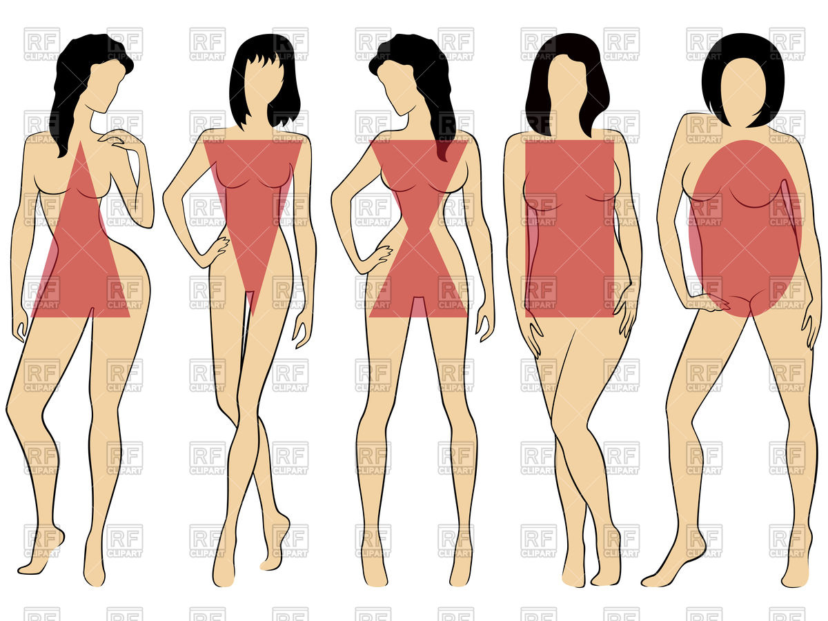 1200x900 Set Of Types Of Women Figures Vector Image Of People Natareal