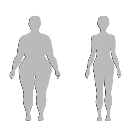 450x419 Silhouettes Of A Thick And Normal Female Figure Vector