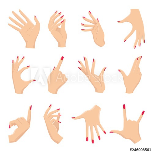 500x500 Female Hands Gestures Vectors Hand Holding And Pointing, Touch