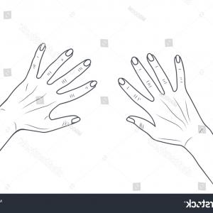 300x300 Line Drawing Art Woman Face Hands Line Drawing Art Woman Face