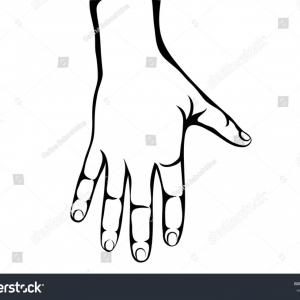 300x300 Photostock Vector Woman Hand Back Side Flat Vector Stock
