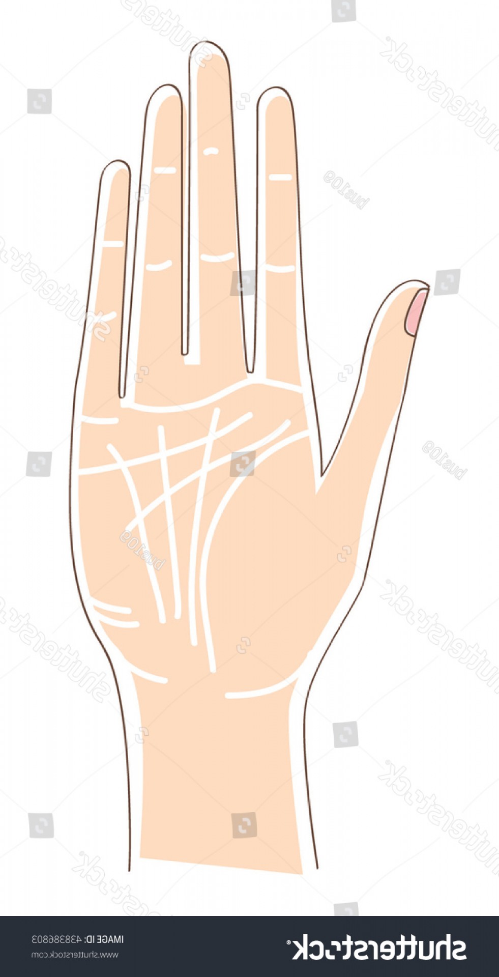 981x1920 Shutterstock Woman Hand Vector Illustration Hand Soidergi