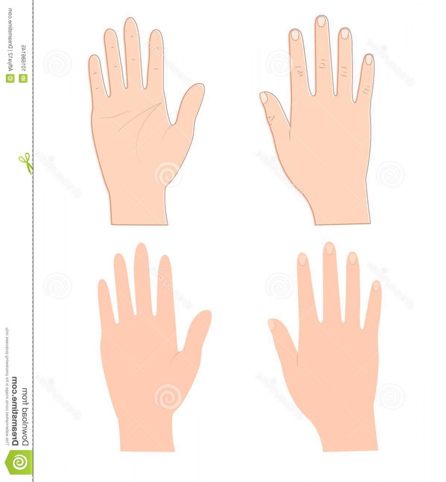 1444x1560 Back Hand Vector Sarahgardan