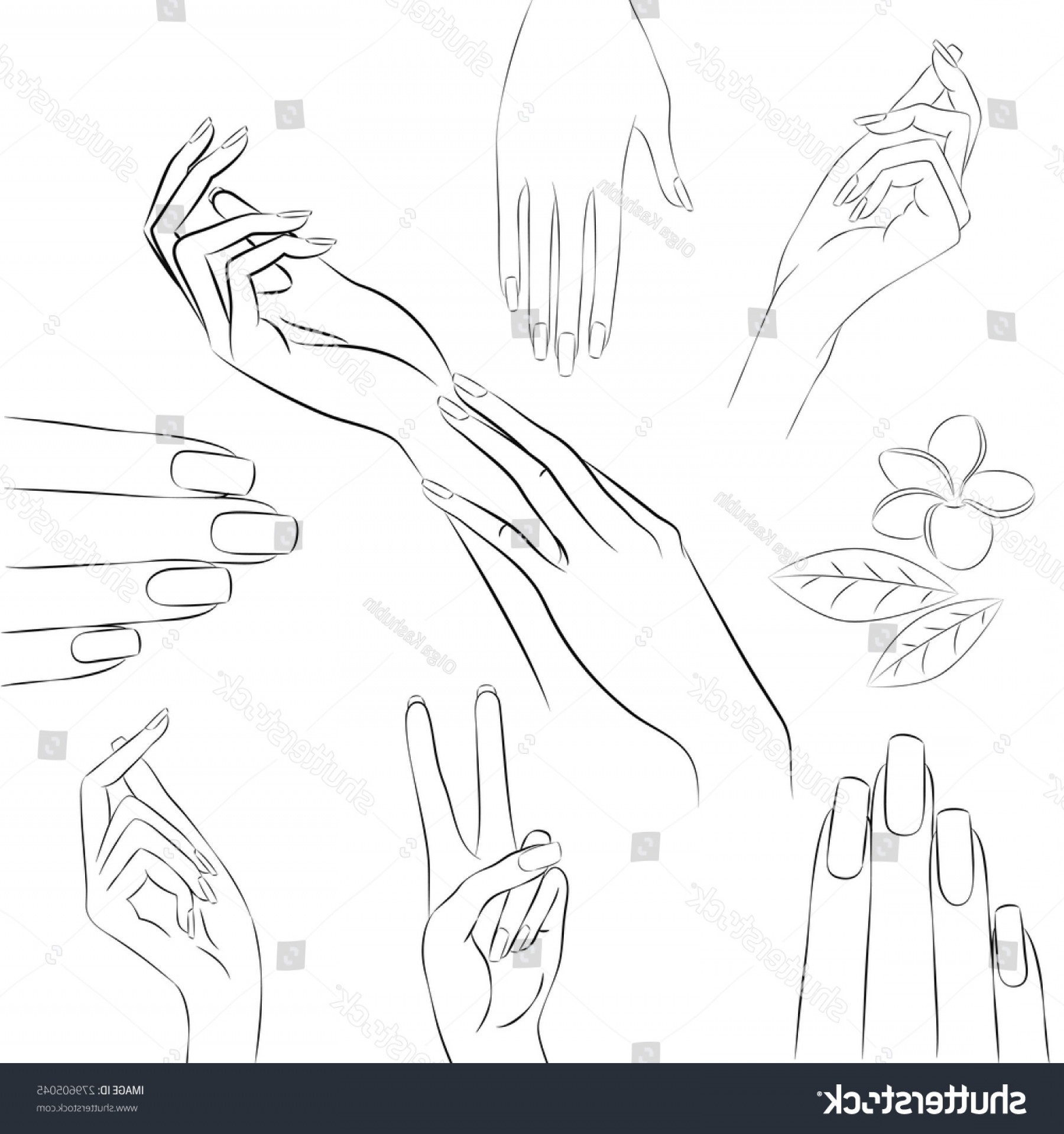 1800x1918 Woman Hand Vector Hoodamathrun