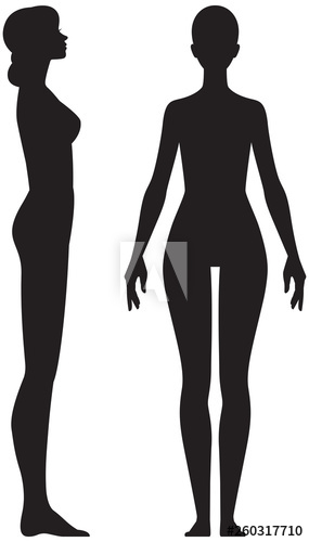Silhouette Woman In Full Length Front And Side View Vector Stock 285x500 Silhouette Woman In Full Length Front And Side View Vector Stock