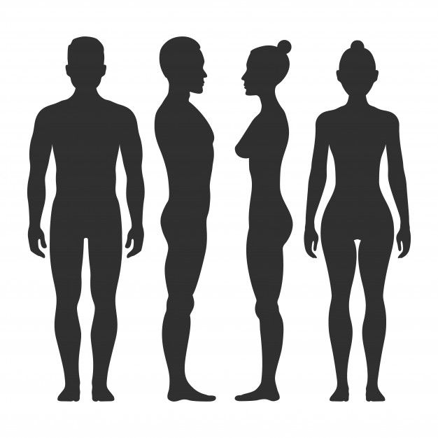 Man And Woman Vector Silhouettes In Front And Side View 626x626 Man And Woman Vector Silhouettes In Front And Side View