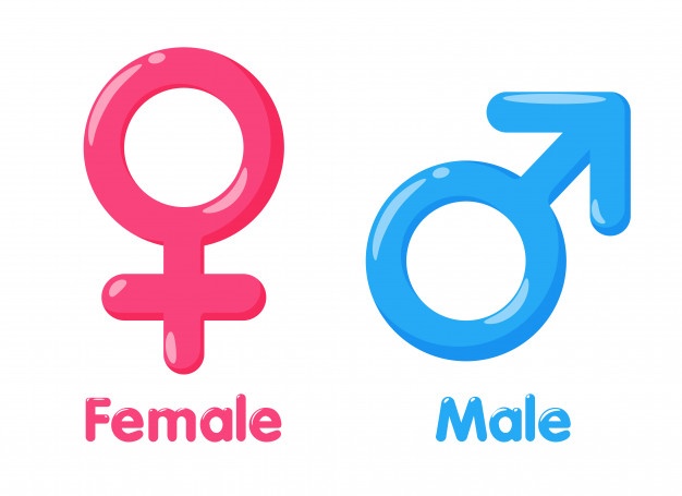 626x455 Gender Symbol Vectors, Photos And Free Download