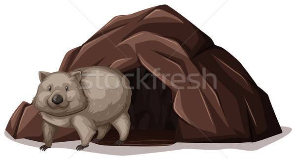 600x323 Wombat Stock Vectors, Illustrations And Cliparts Stockfresh