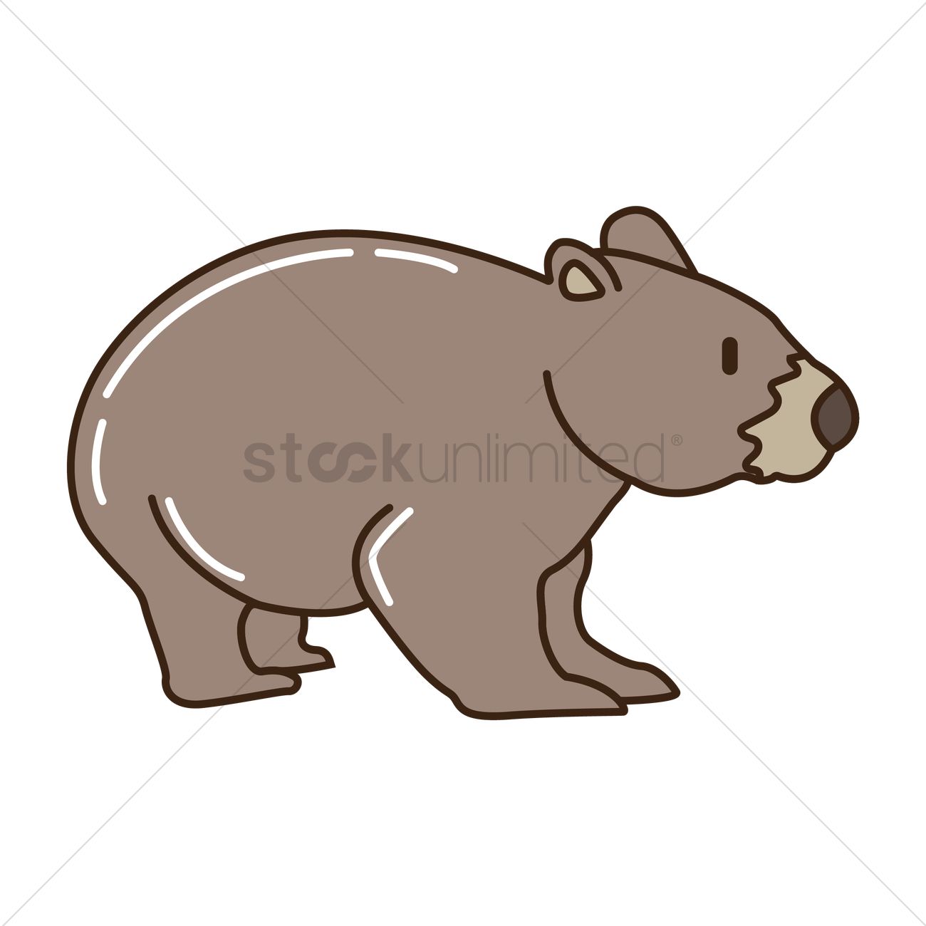 1300x1300 Wombat Vector Image