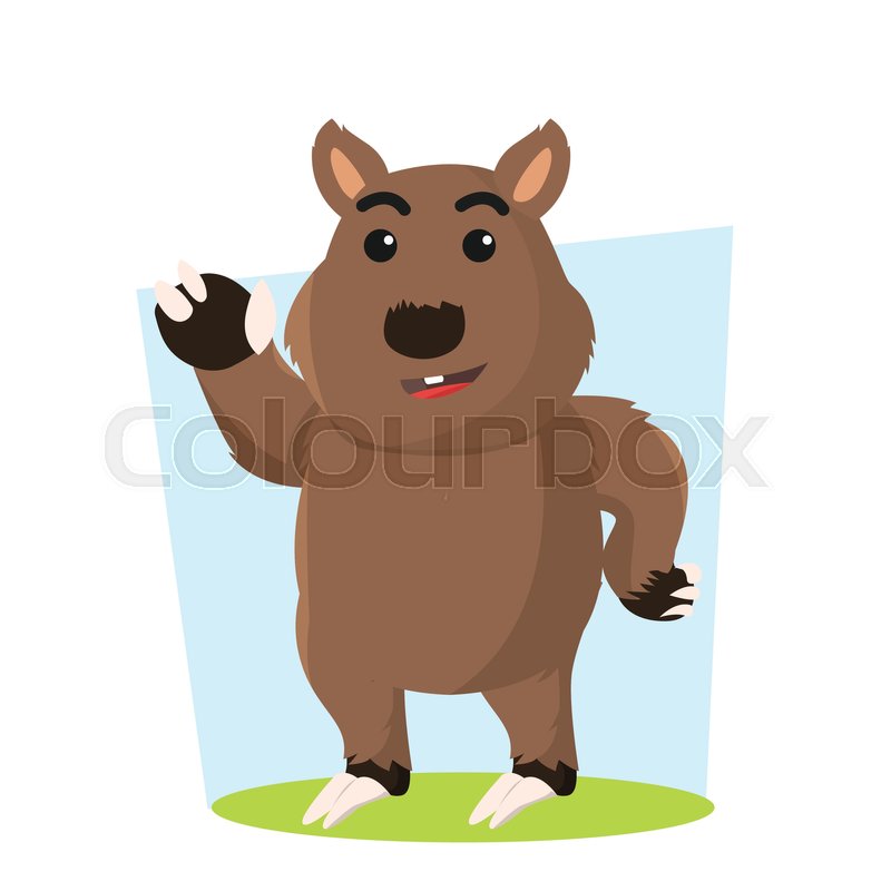 800x800 Wombat Character Vector Illustration Stock Vector Colourbox