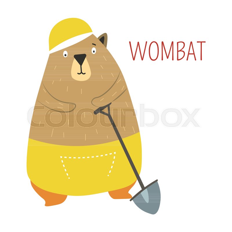 800x800 Wombat In Cartoon Funny Cute Shorts Stock Vector Colourbox
