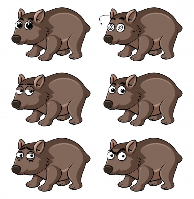 626x643 Wombat With Different Emotions Vector Premium Download