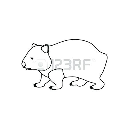 450x450 Wombat Coloring