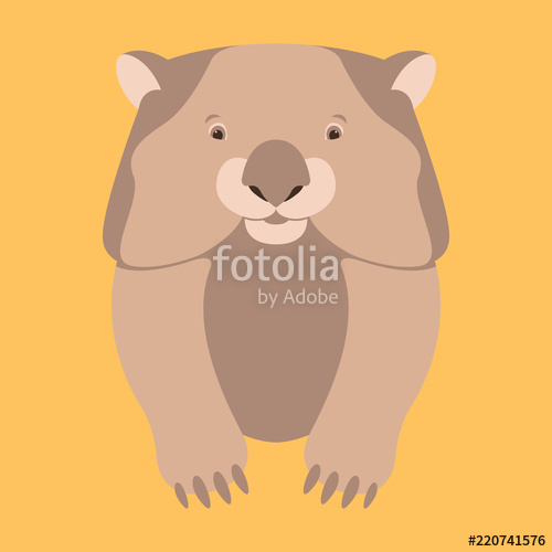 500x500 Wombat Face Vector Illustration Flat Style Front Stock Image