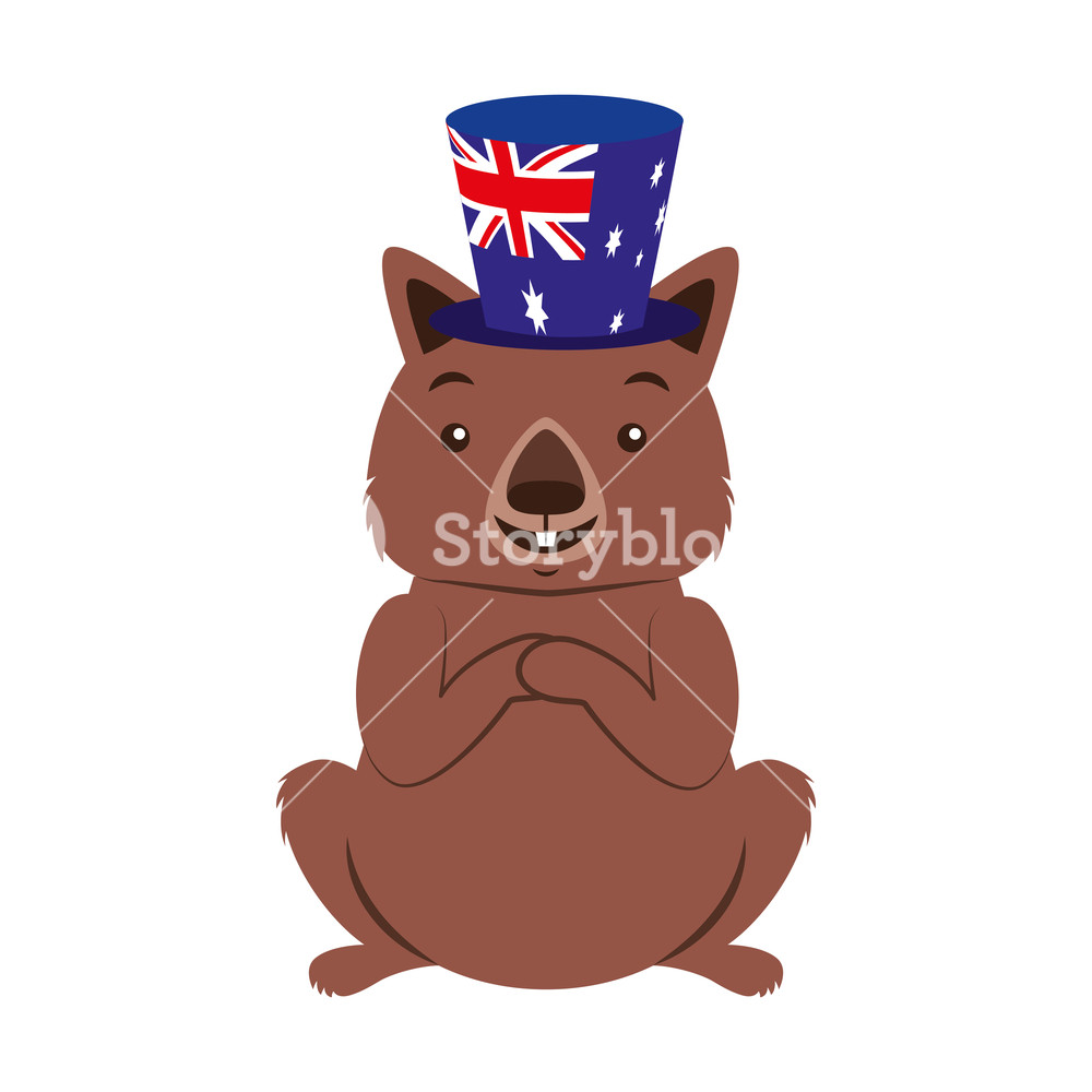 1000x1000 Wombat With Hat Australian Celebration Vector Illustration Royalty